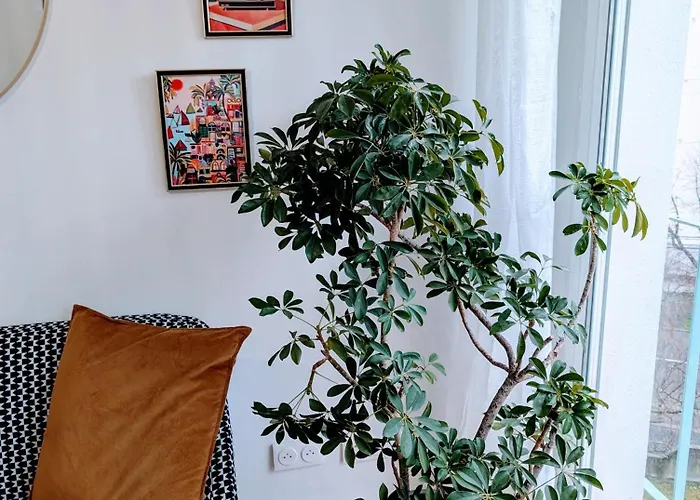 L'appart Le 19 , F3 Proche Centre Vue Cathedrale, 2 * Clermont-Ferrand